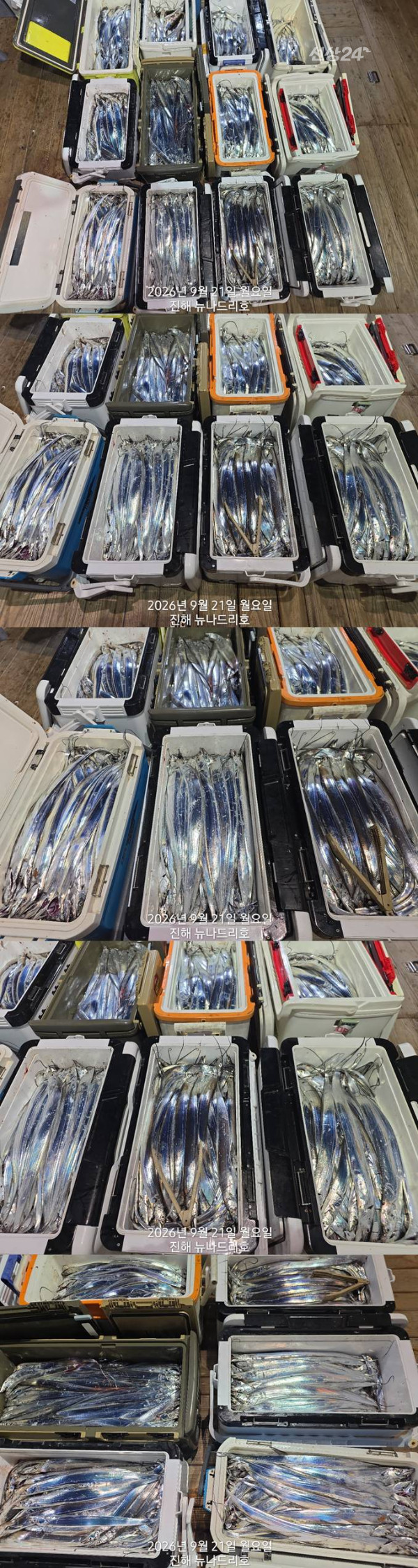 조2.jpg