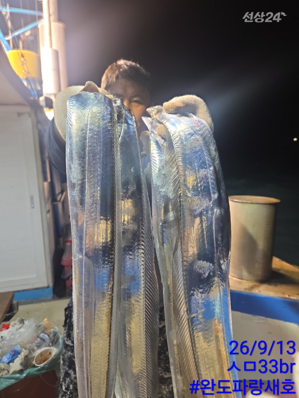 완도파랑새호(블루버드)_사진_20260913_17.jpg