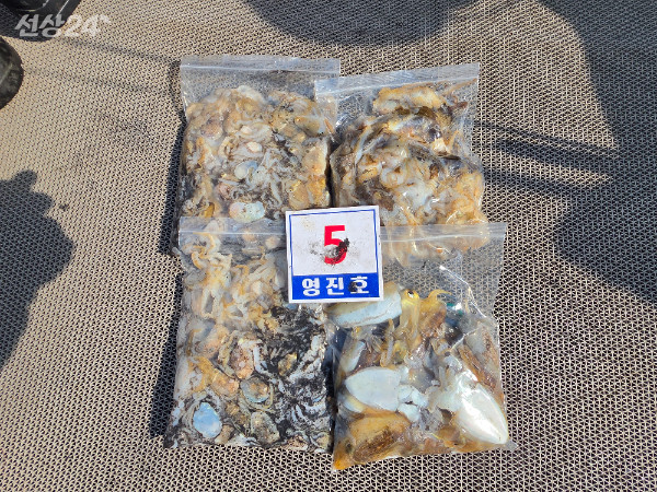 1000071145.jpg