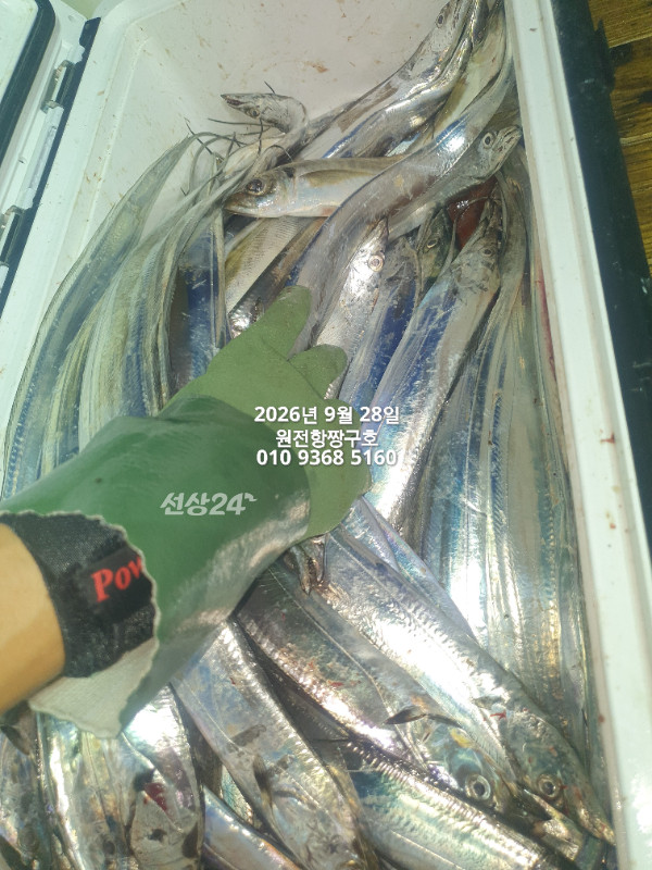 KakaoTalk_20260928_022330431_03.jpg