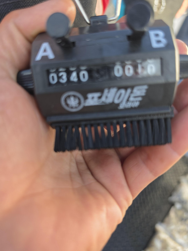 65597.jpg