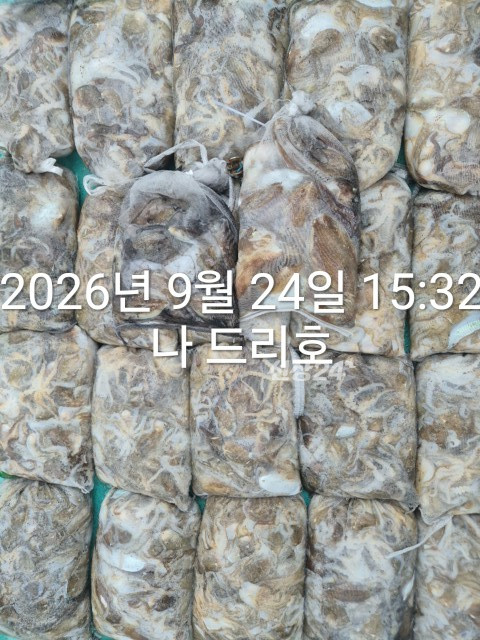 KakaoTalk_20260924_161734361_01.jpg