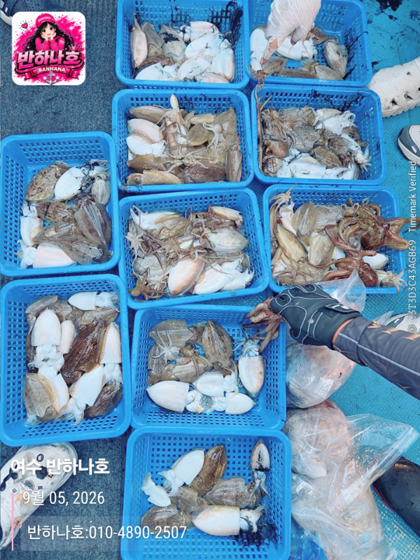 2026-09-05 16.57.44__(제목-여수 반하나호)_(반하나호-010-4890-2507).jpg
