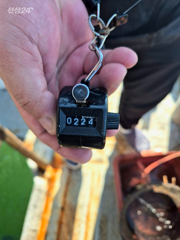 1789979022633.jpg