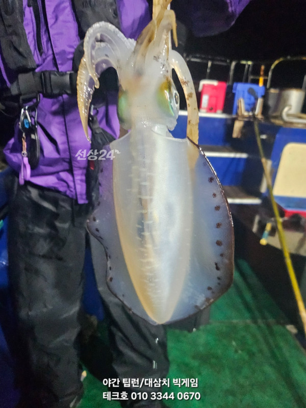 KakaoTalk_20260927_070440410_10.jpg