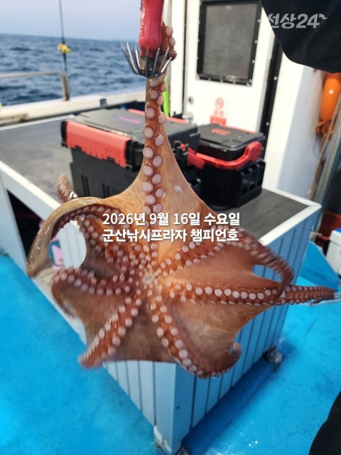 KakaoTalk_20260916_073049665_06.jpg