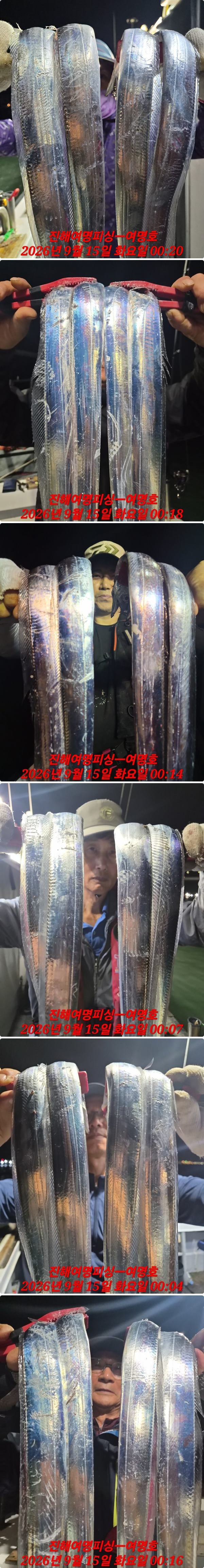 15일갈치상.jpg