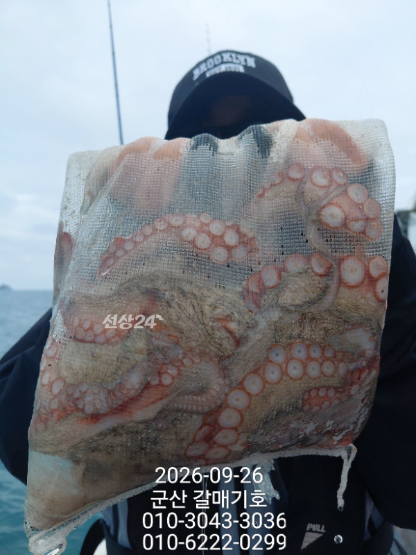10023.jpg