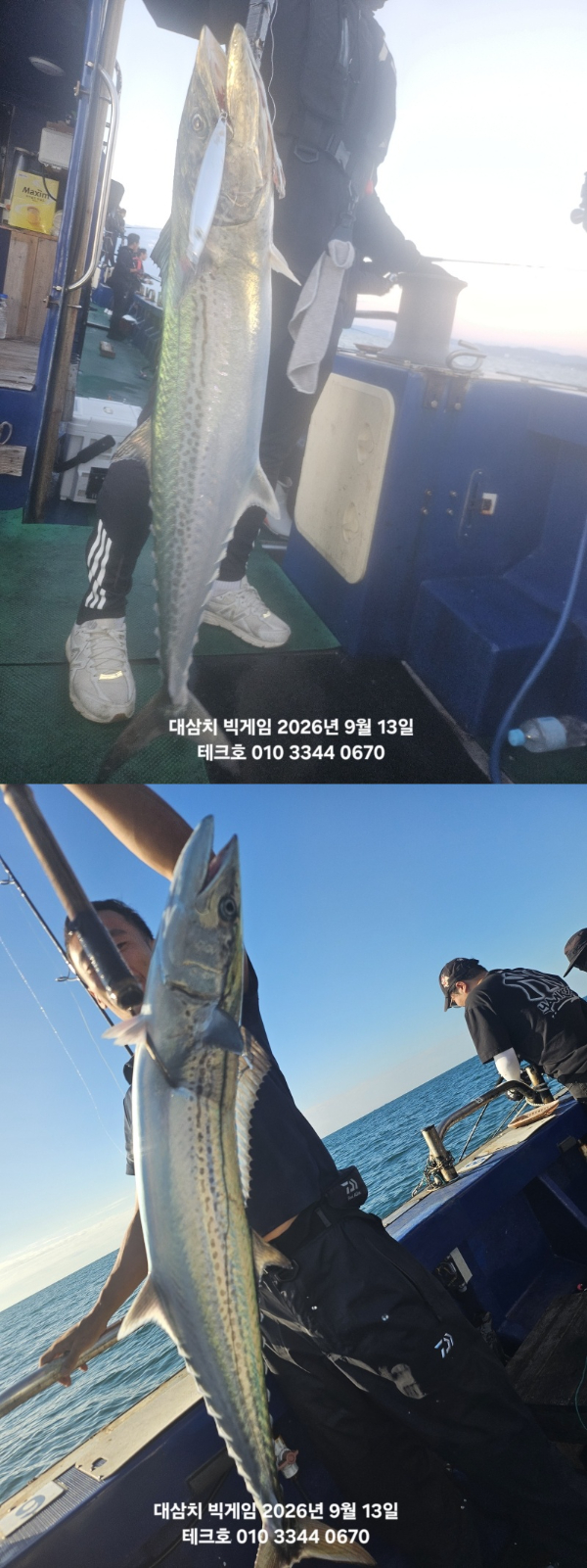 KakaoTalk_20260913_082428754_12-vert.jpg