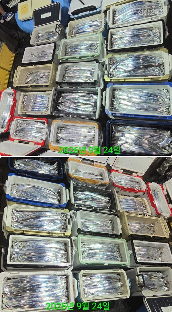 24일갈치하3.jpg