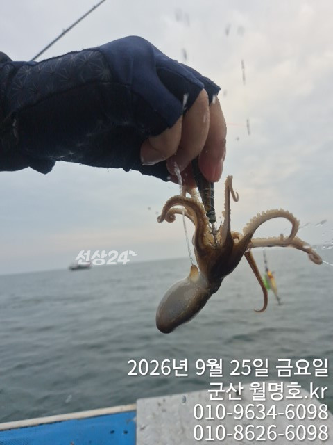 17131.jpg