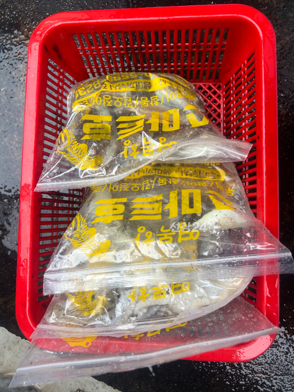 KakaoTalk_20260925_182829599_05.jpg