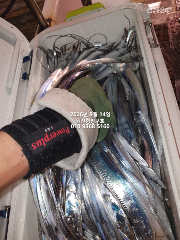 KakaoTalk_20260914_114003950_16.jpg