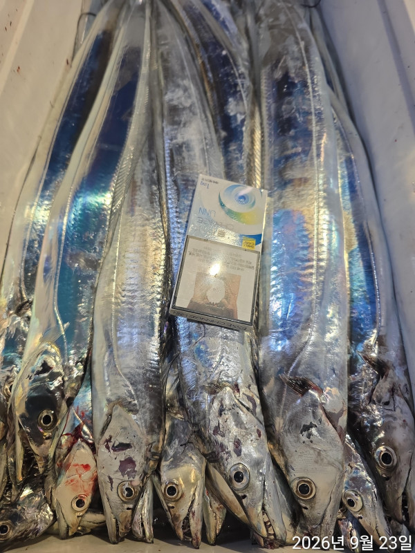 1000400085.jpg