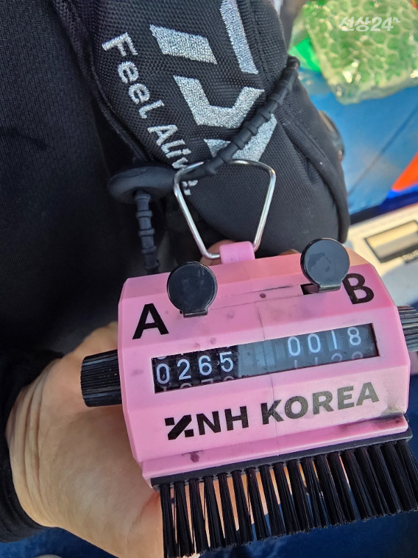 9087.jpg