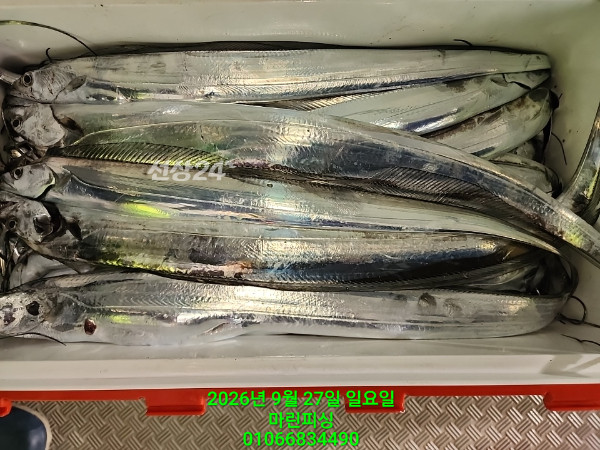 KakaoTalk_20260927_054116091_07.jpg