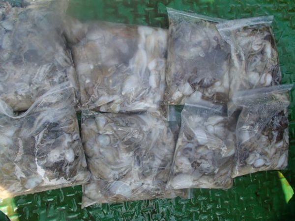 103.JPG