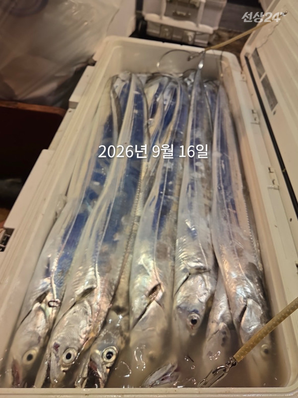 187D4514-D074-46CC-ACA4-62F1CDF0CF7A.jpeg