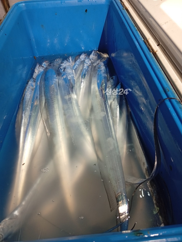 74EF024A-B26C-4BD6-AC62-CF03F7094BD0.jpeg