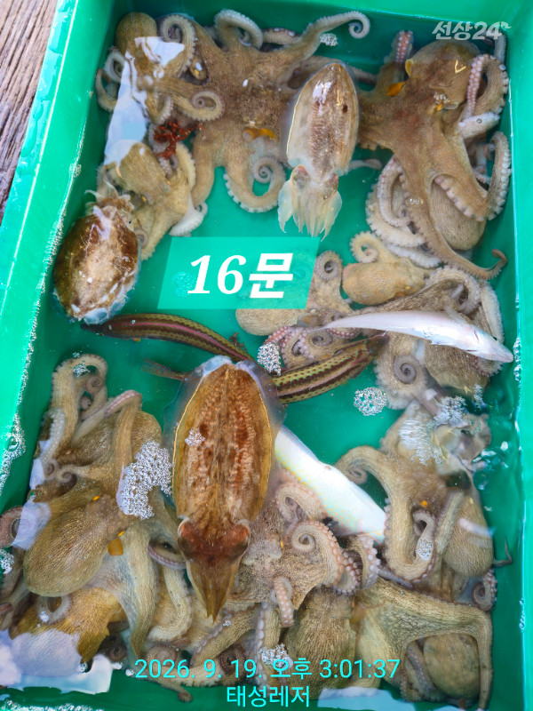 1000103051.jpg