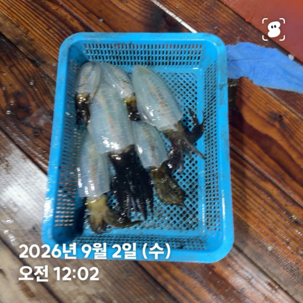 신신낚시 강구점 신신호_사진_20260902_8.jpg
