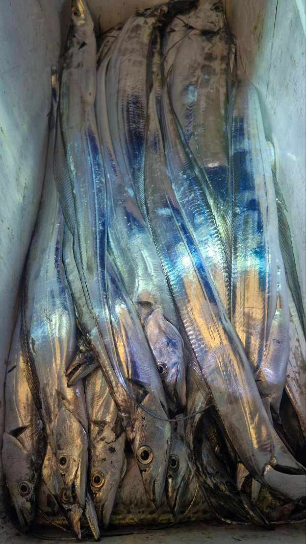 82882.jpg