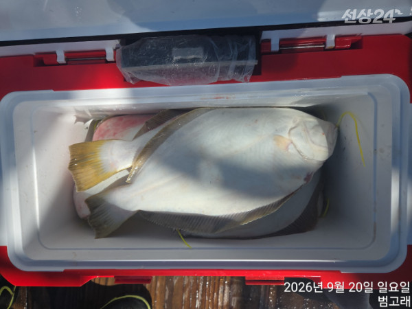KakaoTalk_20260920_154419933.jpg
