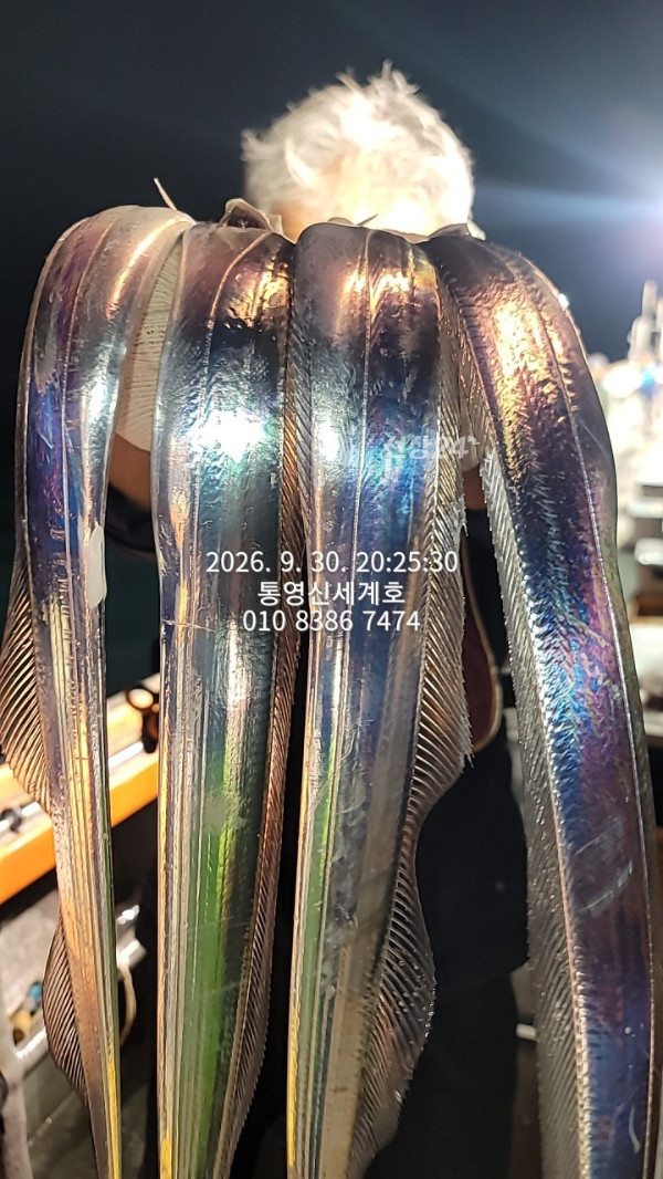 1790769708864.jpg