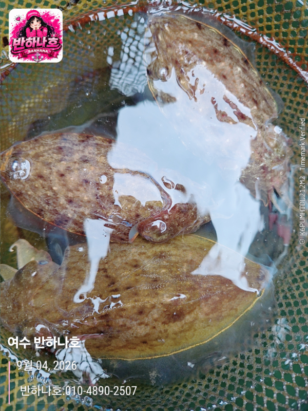 2026-09-04 10.58.09__(제목-여수 반하나호)_(반하나호-010-4890-2507).jpg