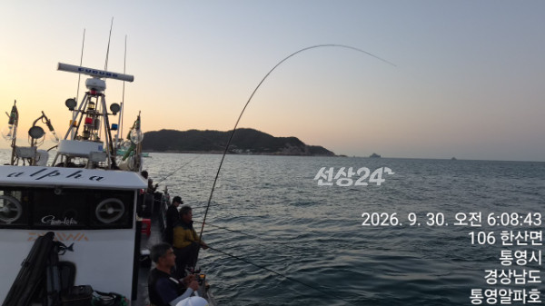 61588.jpg