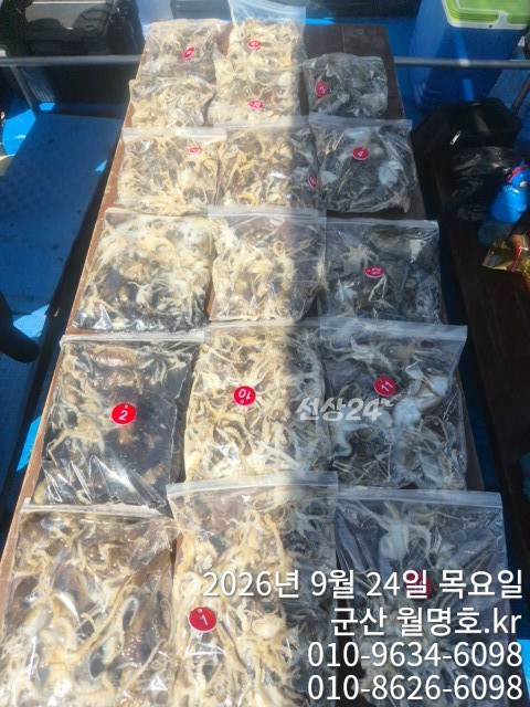17055.jpg