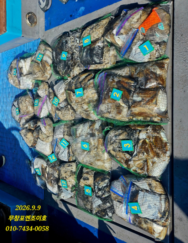 69337.jpg