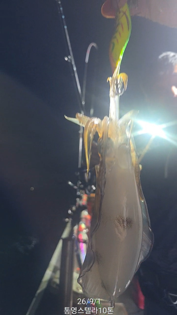 TimeVideo_20260901_192434.jpg