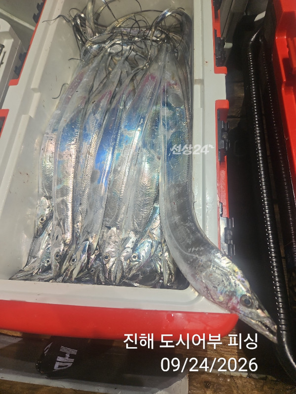 KakaoTalk_20260924_050456578_15.jpg