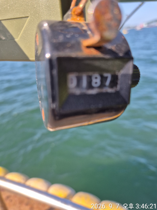 1788783288396.jpg
