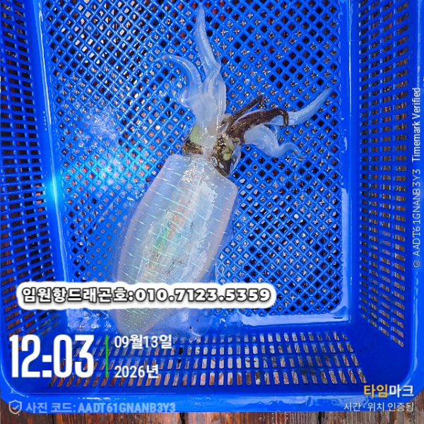 3189.jpg