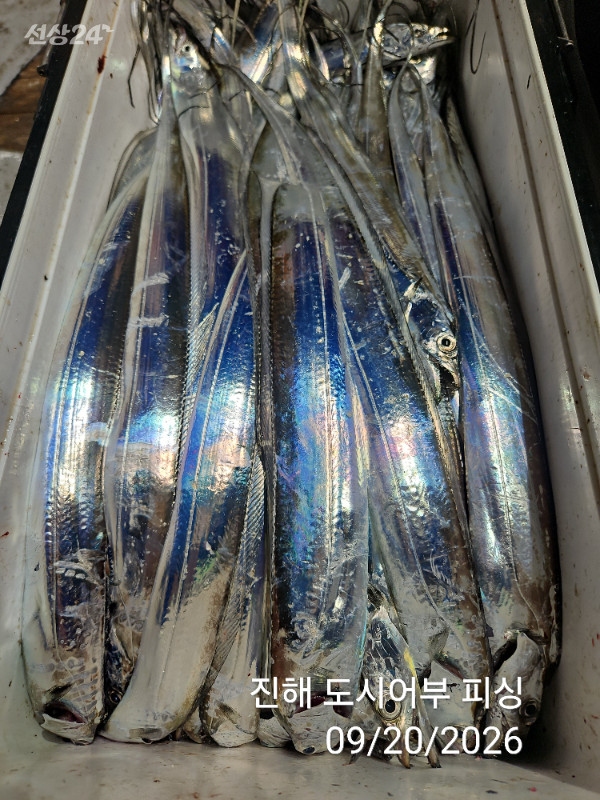 KakaoTalk_20260920_052035482_22.jpg