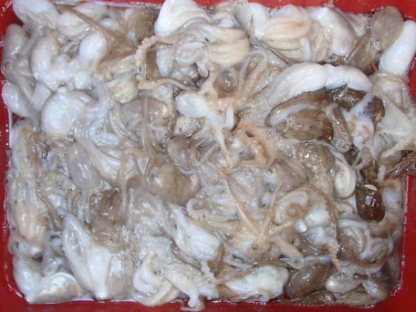 111.JPG