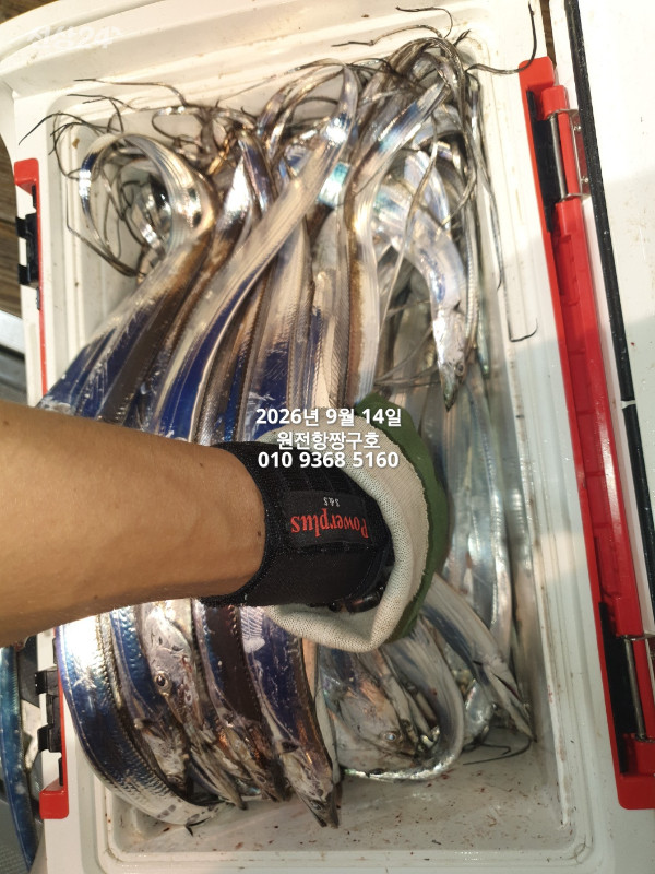 KakaoTalk_20260914_114003950.jpg
