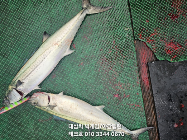 KakaoTalk_20260928_094700590_03.jpg