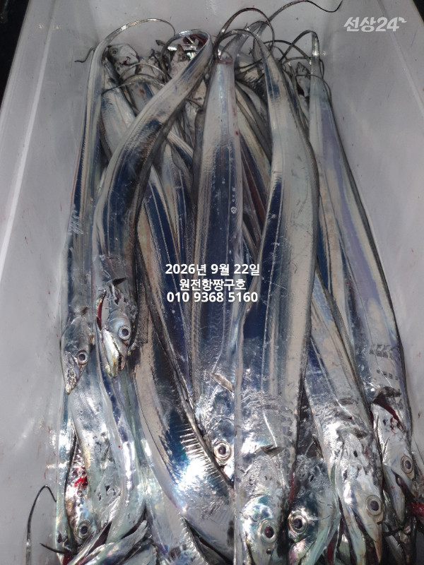 KakaoTalk_20260922_035542302_01.jpg