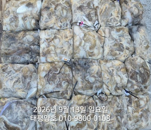 KakaoTalk_20260913_162609619.jpg