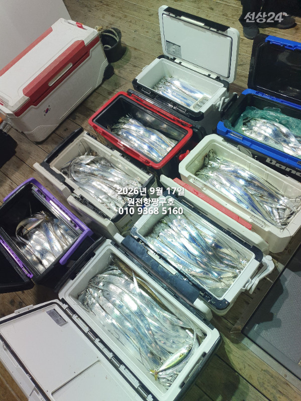 KakaoTalk_20260917_043448708_04.jpg