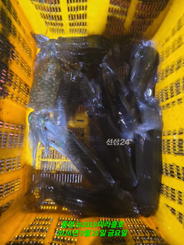 1000080981.jpg