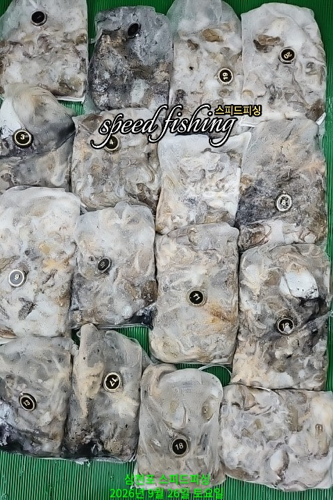 KakaoTalk_20260926_164021475.jpg