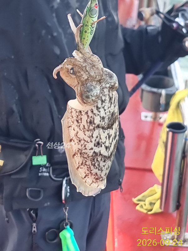 IMG_20260924_090647.jpg