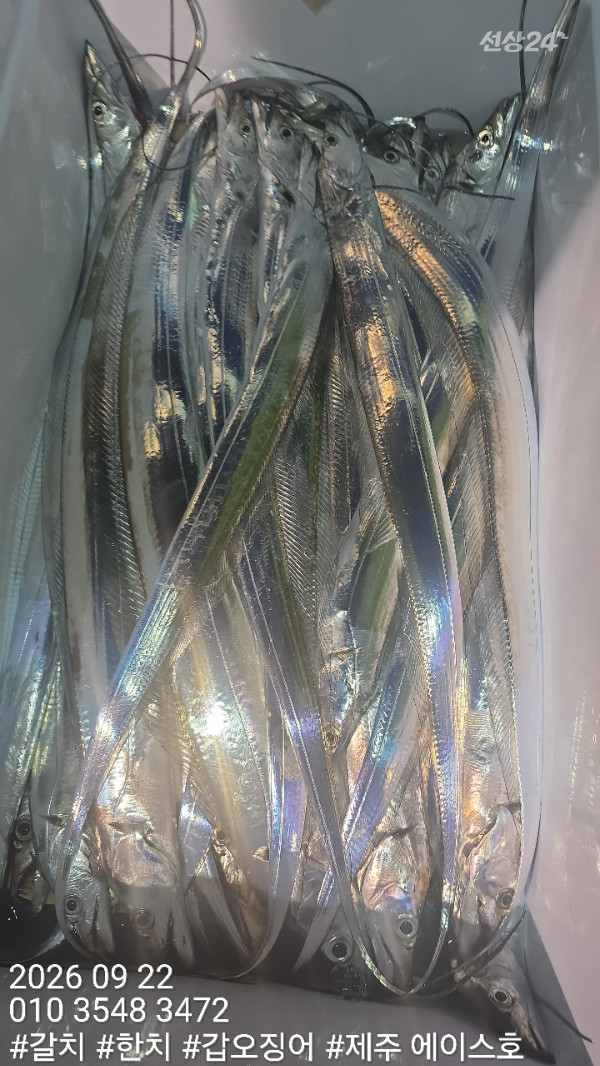 KakaoTalk_20260923_125448817_08.jpg