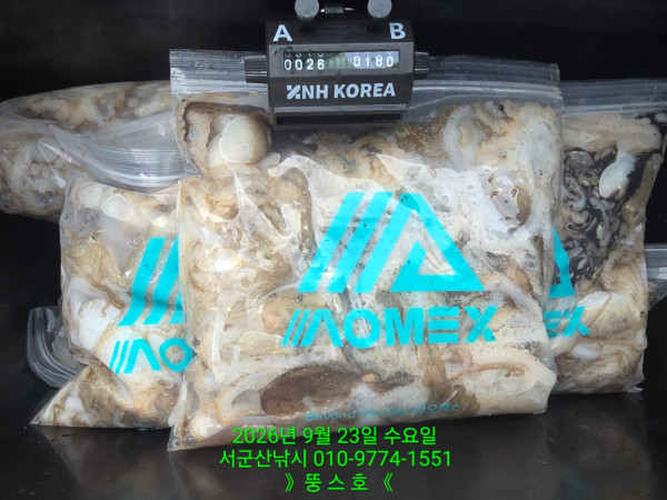 군산 선상낚시, 바다낚시 출조 전문 ☆서군산낚시☆_사진_20260923_3.jpg