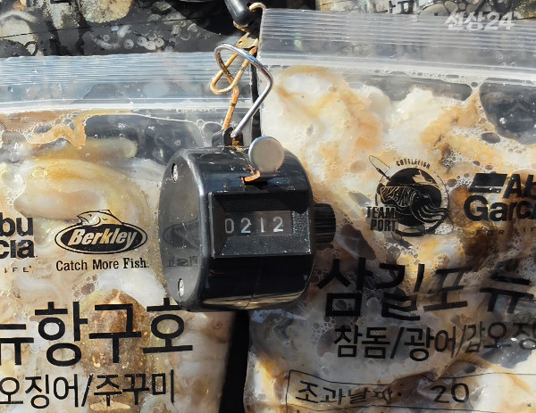 2564.jpg