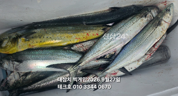 KakaoTalk_20260927_125002672_02.jpg